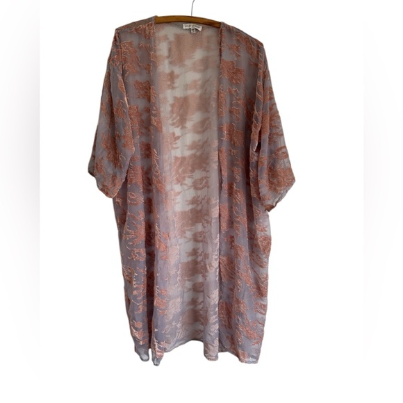Fairycore Sheer Pastel Kimono in Burnout Velvet One Size Fits Most - Picture 1 of 6